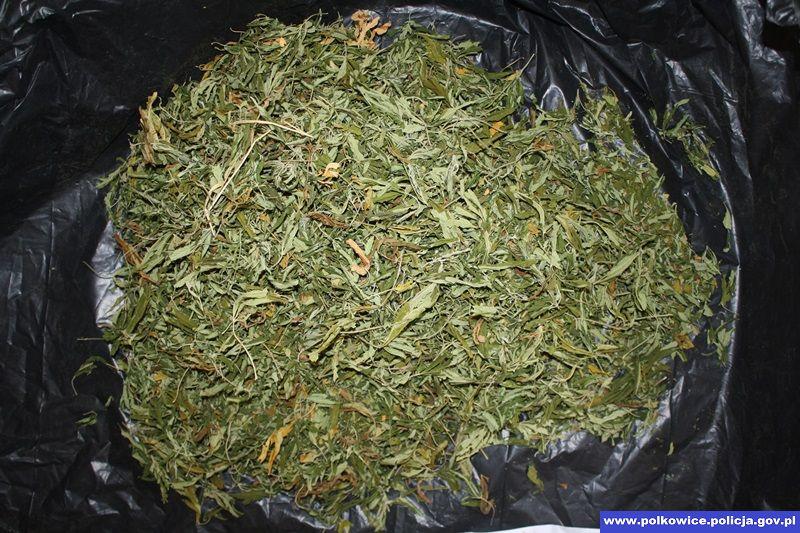 P kilograma marihuany w przydomowej stodole