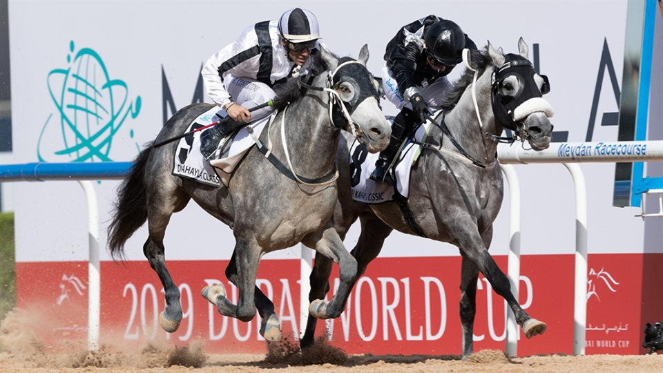 Koń z Partynic drugi podczas Dubai World Cup